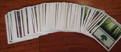 100 Basic Land Lot 20 of Each Type White Border ONLY MTG Magic TexasNerdGames - Image 2