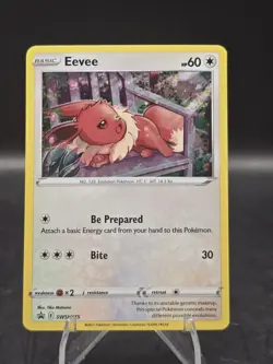 Pokemon TCG Eevee SWSH175 Sword & Shield Black Star Promo Holo NM - Image 1