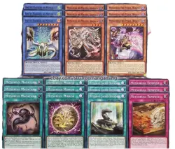 Yugioh Mitsurugi Deck Core Set 21 card ALIN Ame No Habakiri Mikoto Aramsa Wousu - Image 1
