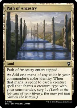 Path of Ancestry - Light Play MTG Commander: Bloomburrow - Image 1