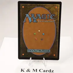 MTG - Theros Beyond Death - Iroas's Blessing - Foil (142/254) - Image 3