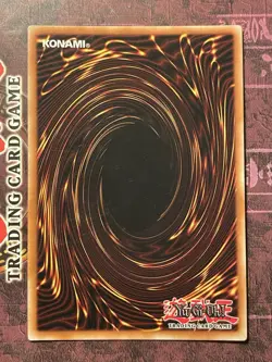 Big Shield Gardna - LCYW-EN032 - Secret Rare - Unlimited Edition - NM/VLP - Image 2