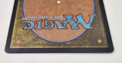 Reclamation Sage 366 S The List MTG Time spiral remastered Retro frame LP - Image 4