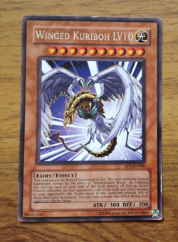 Winged Kuriboh DP1-EN006 Rare YuGiOh Yu-Gi-Oh! . Free UK Postage - Image 1