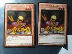Yugioh! LP Lonefire Blossom - PGLD-EN034 - Gold Rare - 1st Ed x2 Pair - Image 1