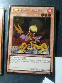 Yugioh! LP Lonefire Blossom - PGLD-EN034 - Gold Rare - 1st Ed x2 Pair - Image 2
