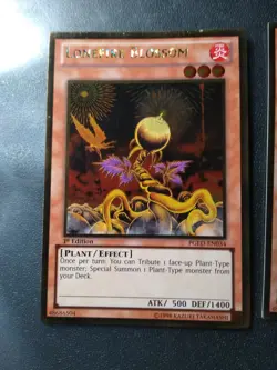 Yugioh! LP Lonefire Blossom - PGLD-EN034 - Gold Rare - 1st Ed x2 Pair - Image 3