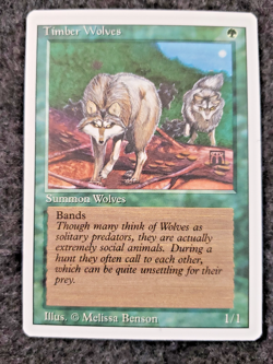 MTG - Timber Wolves - Revised 3rd - NM - NO Play Magic The Gathering - (DS3D1K6) - Image 1