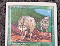 MTG - Timber Wolves - Revised 3rd - NM - NO Play Magic The Gathering - (DS3D1K6) - Image 3