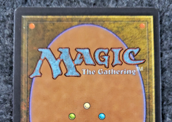 MTG - Timber Wolves - Revised 3rd - NM - NO Play Magic The Gathering - (DS3D1K6) - Image 4