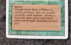 MTG - Timber Wolves - Revised 3rd - NM - NO Play Magic The Gathering - (DS3D1K6) - Image 5