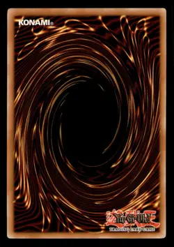 Yugioh Black Ptera #POTD-EN018 Power of the Duelist LP - Image 2
