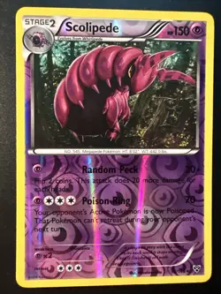 Scolipede | 53/146 | Reverse Holo | XY Base Set | Pokemon Card | Near Mint - Image 1