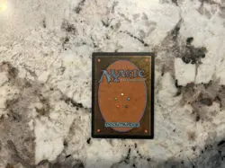 Dragon Tempest Mtg - Magic the Gathering Dragon Tempest Rare EX - Image 2