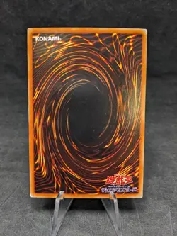 Foolish Burial - SJ2-029 -Yugioh - JAPANESE- Structure Deck: Joey Volume 2 - MP - Image 2