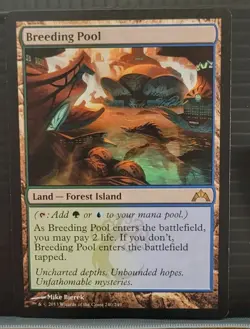 mtg BREEDING POOL NM GATECRASH 240/249 -Argo- - Image 1