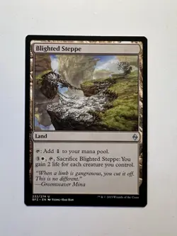 Blighted Steppe - MTG Battle for Zendikar - NM - Image 1