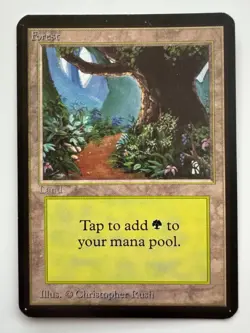 Forest (B)(Path) ~ Alpha [Slightly Played][Magic MTG] - Image 1