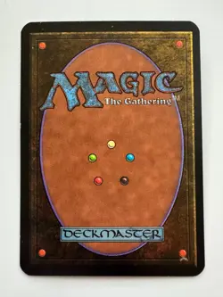 Forest (B)(Path) ~ Alpha [Slightly Played][Magic MTG] - Image 2