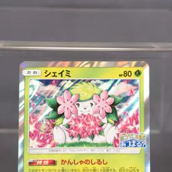 EX+/EX Shaymin PROMO 225/SM-P Pokemon Card TCG Japanese - Image 2
