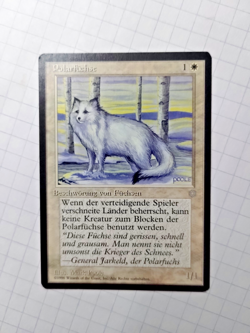 MTG Arctic Foxes (Polarfuchse) Ice Age Regular Common - Some Edge Wear -See Pics - Image 2