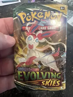 Pokemon TCG Sword & Shield Evolving Skies Booster Pack.& One Touch Pack Protect - Image 1