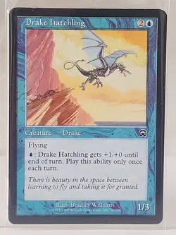 Drake Hatchling MTG Playset 4-Pack Magic The Gathering Read Desc - Image 1