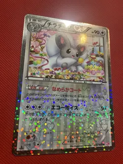 Cinccino 019/020 Shiny Collection SC 2013 Japanese Pokemon Card TCG Radiant - Image 3
