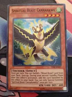 (NM) Spiritual Beast Cannahawk - Yu-Gi-Oh! THSF-EN027 - Image 1