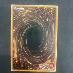 Nobledragon Magician - SDMP-EN003 - Super Rare - 1st Edition - YuGiOh - Image 2