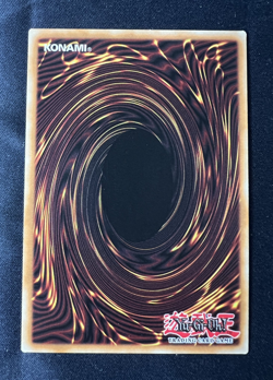 Yugioh! D.D. Warrior Lady DCR-027 Super Rare Unlimited Dark Crisis DCR NM - Image 3