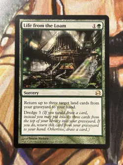 MTG Life from the Loam Modern Masters Regular English - Near Mint NM 🔥 - Image 1