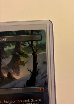 Misty Rainforest (Borderless) ~ MTG Tarkir: Dragonstorm (Special guest) ~ NM/M - Image 3