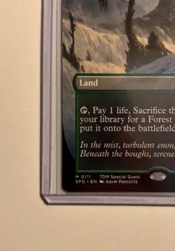 Misty Rainforest (Borderless) ~ MTG Tarkir: Dragonstorm (Special guest) ~ NM/M - Image 4