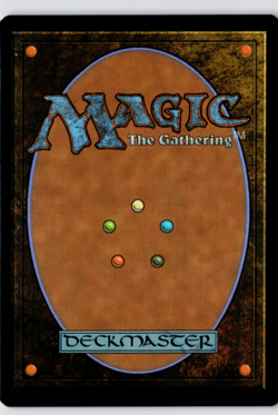 Elegy Acolyte (Borderless) | Foil | Edge of Eternities | 293 MTG - Image 2