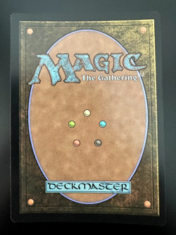 Flare of Cultivation - #338 Foil (Borderless) - Modern Horizons 3 - Mtg - Image 3