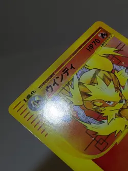 Arcanine 023/048 Web-series 1st edition 2001 Japanese Pokemon Card NM A373 - Image 4