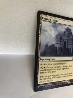 Eiganjo Castle - Image 2