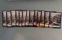 Lot of 13x Waste Basic Lands. Final Fantasy MTG. 6x Foil, 7x Reg NM Never Played - Image 1