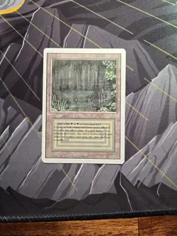 Bayou Revised MTG Dual Land Magic Card - Image 1