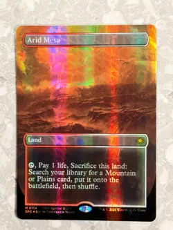 Arid Mesa (Borderless) (Dragonscale Foil) 114 MTG Special Guests SPG NM X1 - Image 2