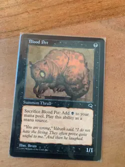 x1 MTG Blood Pet LP Tempest Magic the Gathering CCG TCG MTG - Image 1