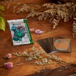 Magic: the Gathering Bloomburrow Collector Booster Box - 12 Packs (180 Magic Car - Image 4