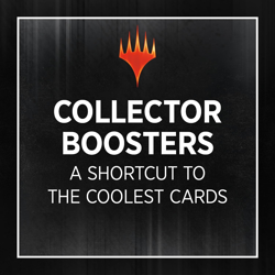 Magic: the Gathering Wilds of Eldraine Collector Booster Box - 12 Packs (180 Mag 195166231945 - Image 2