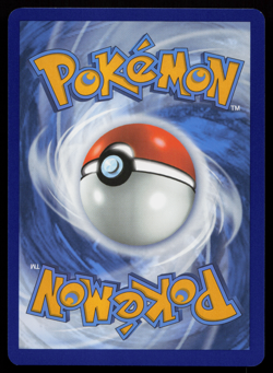 Raging Bolt ex 123/162 Temporal Forces Double Rare Near Mint Pokemon Card - Image 2