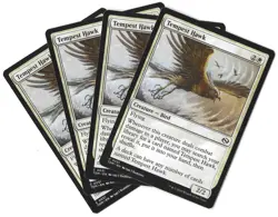 4x Tempest Hawk - 0031 - Tarkir Dragonstorm - MTG - NM/M - Playset - Image 1