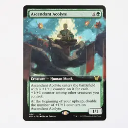 Ascendant Acolyte 64 - MTG - Commander: Kamigawa: Neon Dynasty - NM Extended - Image 1