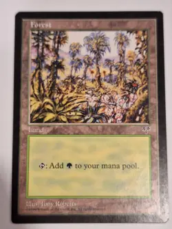 Forest - (292) Mirage - Magic the Gathering MTG Nice! - Image 1