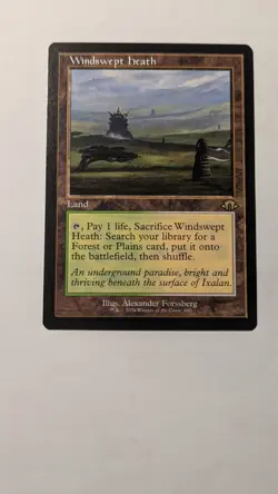 MTG Windswept Heath #440 Retro Frame Rare Modern Horizons 3 (MH3) - Image 1