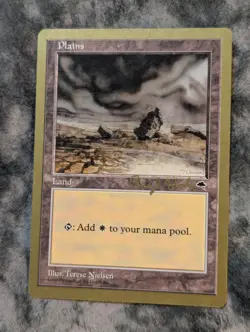 Plains Magic The Gathering MTG Gold Border Championship Seattle 1998 - Image 1
